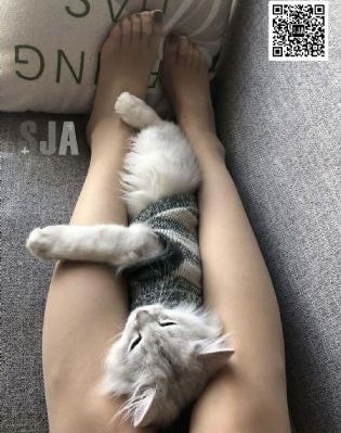 回复术士的重启人生樱花_日韩手机在线观看