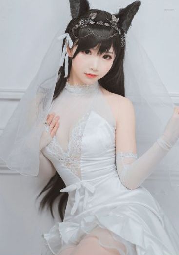 我在大理寺当宠物电视剧免费观看_1080高清完整版
